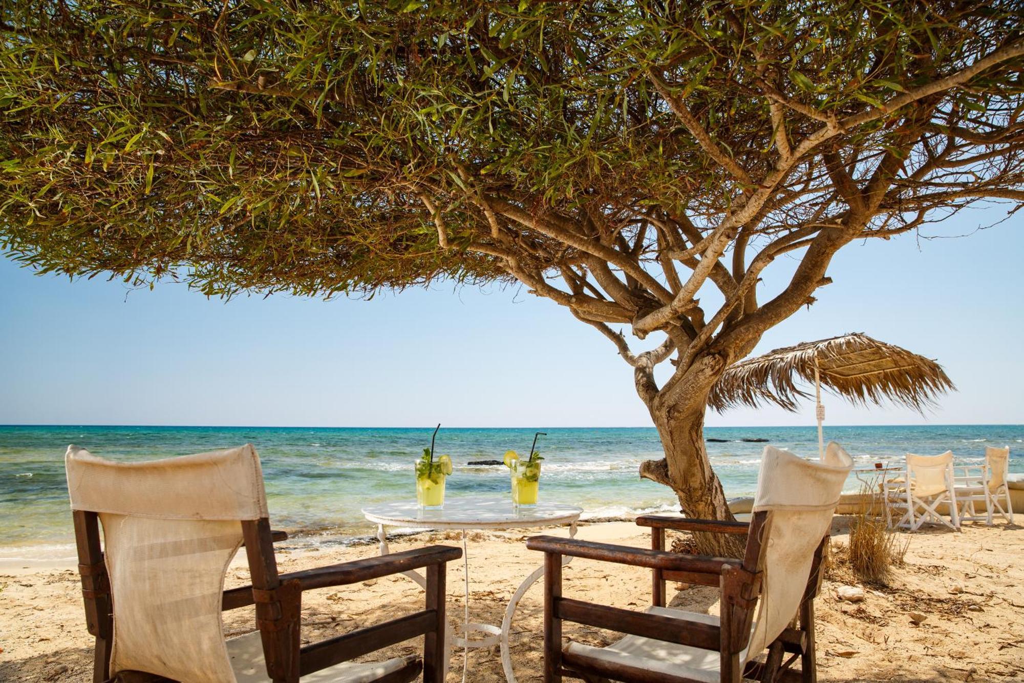 Thalassines Villas Айя-Напа Екстер'єр фото