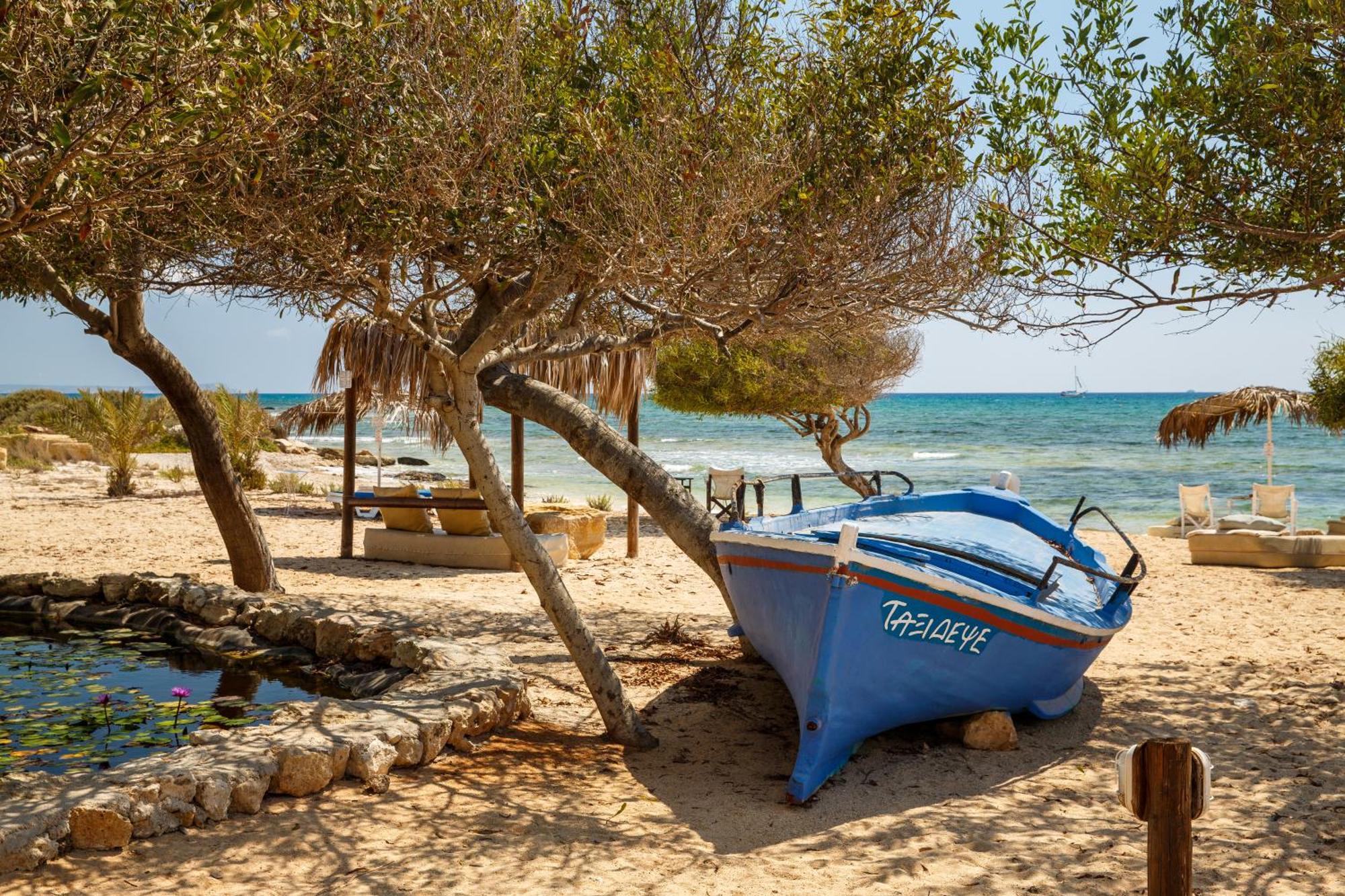 Thalassines Villas Айя-Напа Екстер'єр фото